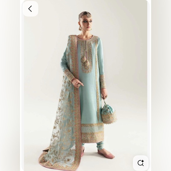 Dresses & Skirts - New Pakistani Indian Elegant Embroidered Blue shalwar kameez #806